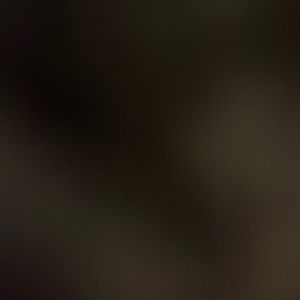 Meet your Posher, Logan